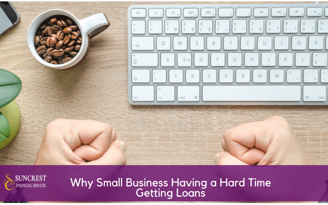 3 Reasons Why Small Business Owners Have a Hard Time Getting Business Loans!