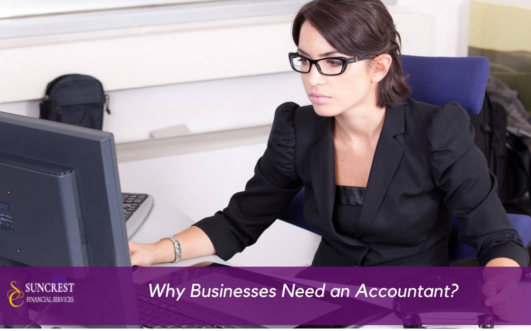 Why businesses need an Accountant?